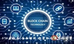STO虚拟币：全面解析、投资机会与市场前景